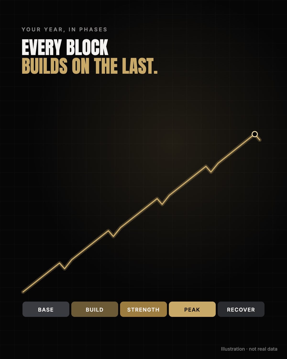 Your year, *planned in phases.*